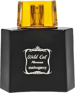 Wild Cat by mahogany