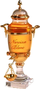 Narcisse Blanc by caron