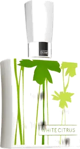 White Citrus by bath-body-works
