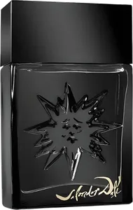 Black Sun by salvador-dali