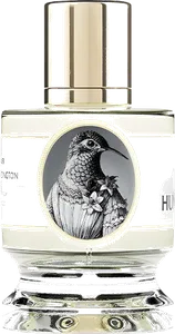 Hummingbird by zoologist-perfumes
