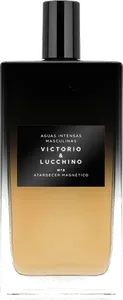 No 8 Atardecer Magnetico by victorio-lucchino