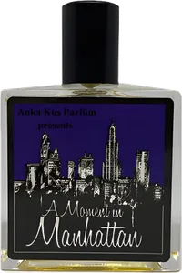 A Moment In Manhattan by anka-kus-parfuem