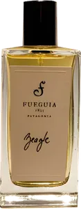 Beagle by fueguia-1833