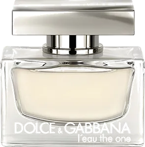 L Eau The One by dolce-gabbana