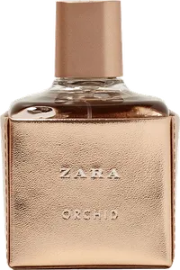 Zara Orchid 2017 by zara