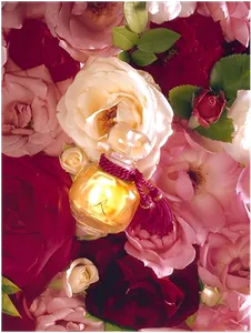 La Rose Legere by les-parfums-de-rosine