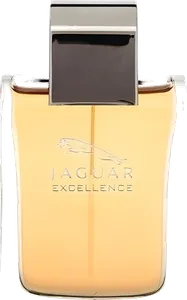 Jaguar Excellence by jaguar