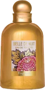 Belle De Nuit by fragonard