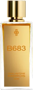 B683 by marc-antoine-barrois