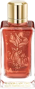 Roses Berberanza by lancome