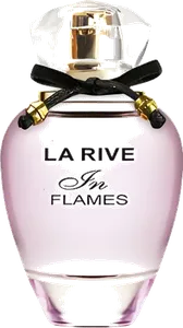 In Flames by la-rive