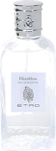 Dianthus by etro