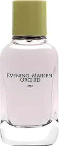 Evening Maiden Orchid by zara