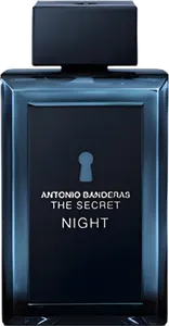 The Secret Night by antonio-banderas