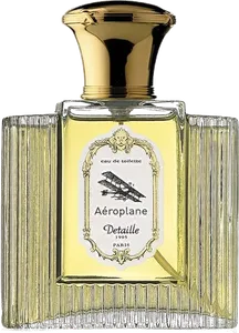 Aeroplane by detaille