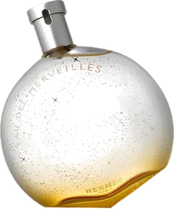 Eau Des Merveilles by hermes