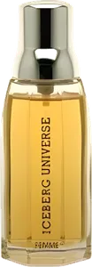 Universe by iceberg