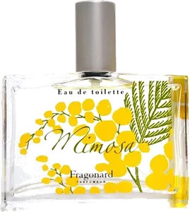 Mimosa by fragonard