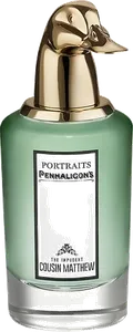 The Impudent Cousin Matthew by penhaligon-s