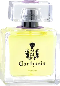 Gelsomini Di Capri by carthusia