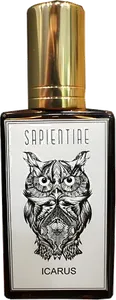 Icarus by sapientiae-niche