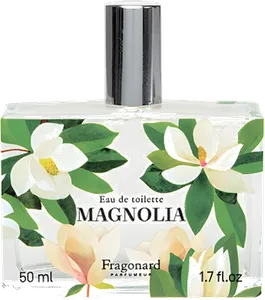 Magnolia by fragonard