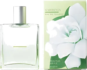 Gardenia by bath-body-works