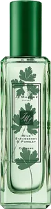 Wild Strawberry Parsley by jo-malone-london
