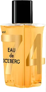 Eau De Iceberg Oud by iceberg