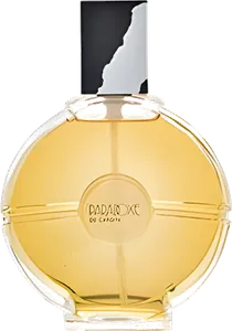 Paradoxe by pierre-cardin