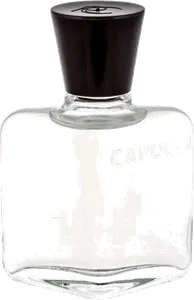 Capucci Pour Homme by roberto-capucci