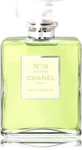 Chanel No 19 Poudre by chanel