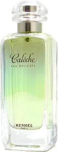 Caleche Eau Delicate by hermes