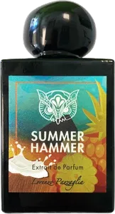 Summer Hammer by lorenzo-pazzaglia