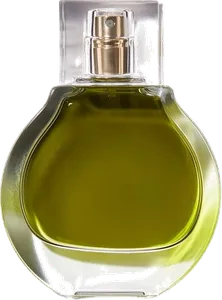Olive by kkw-fragrance