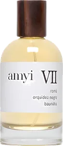 Amyi Vii by amyi