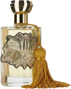 Reve D Ossian by oriza-l-legrand