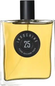 Indochine 25 by pierre-guillaume-paris