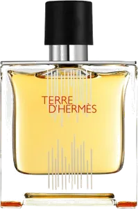 Terre D Hermes Flacon H 2021 Parfum by hermes