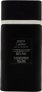 Santos De Cartier by cartier
