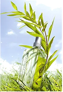 Verbena Sun by l-occitane-en-provence