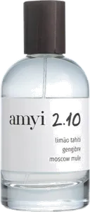 Amyi 2 10 by amyi