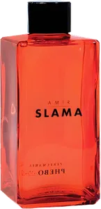 Amir Slama by phebo