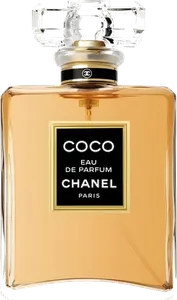 Coco Eau De Parfum by chanel