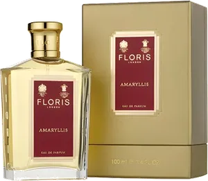 Amaryllis by floris