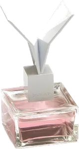Plastique by x-ray