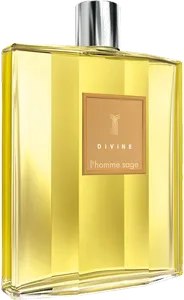 L Homme Sage by divine