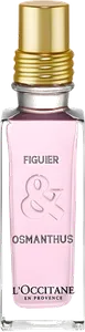 Figuier Osmanthus by l-occitane-en-provence