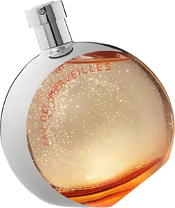 Eau Des Merveilles 10Th Anniversary Edition by hermes